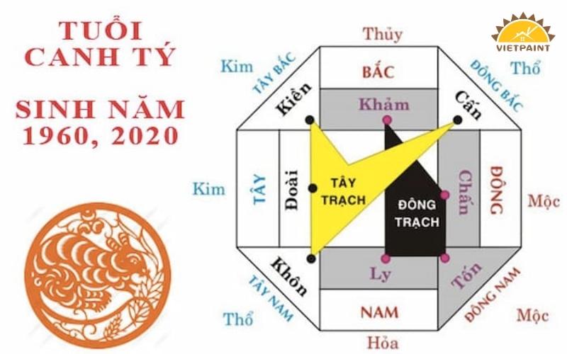 gia-chu-tuoi-canh-ty-hop-huong-nao.jpg gia-chu-tuoi-canh-ty-hop-huong-nao.jpg